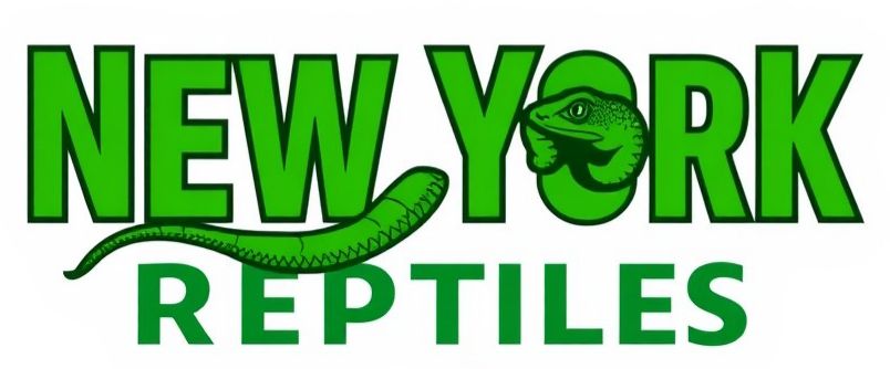 neyork-reptiles